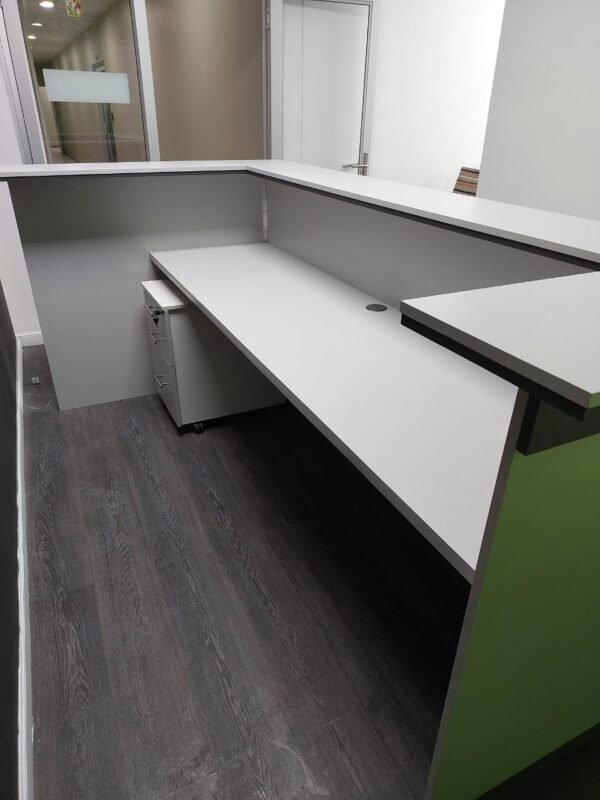 Melissa Reception Counter1