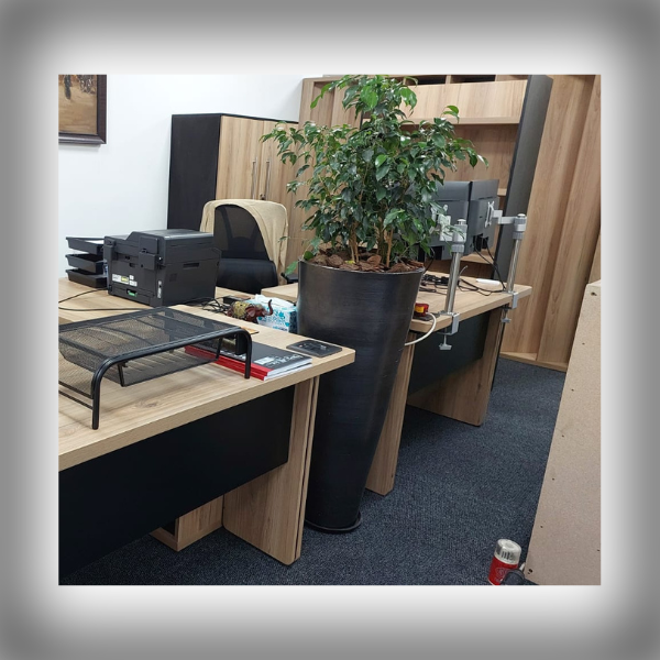 Vision Activ's offices 4