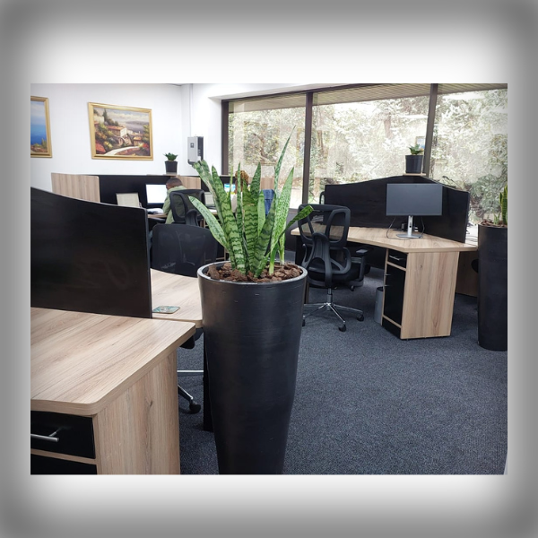 Vision Activ's offices 8
